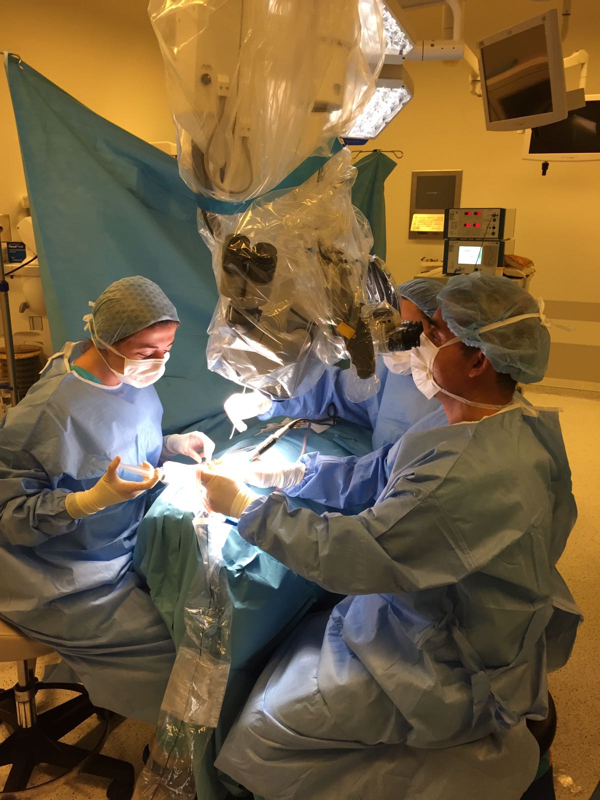 8db7e7d6-17dd-49c9-b934-9a6a4d370340