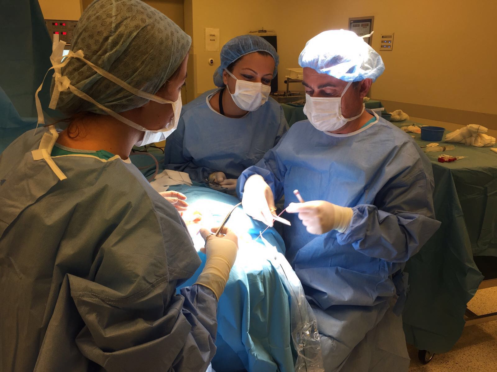 ce986d98-fdf3-4542-b71a-4a7d44204fff